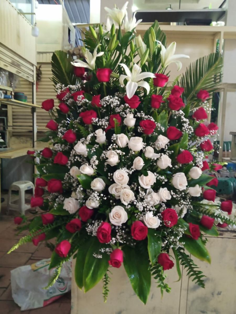 Resplandor Celestial